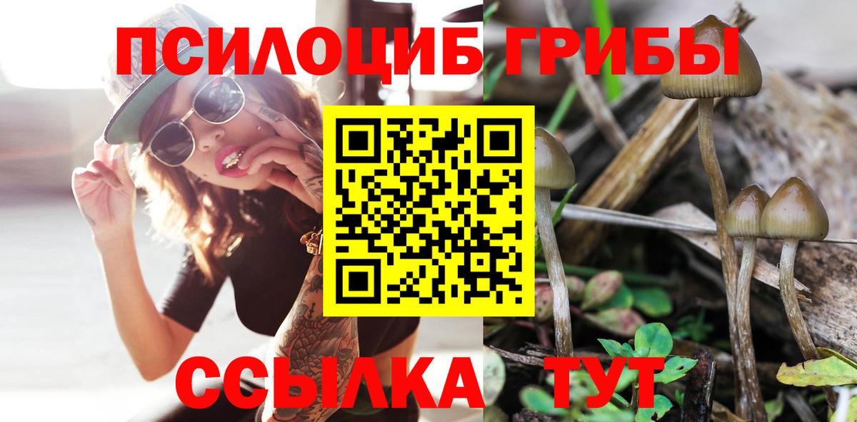 Галлюциногенные грибы мицелий  Вход с VPN  Кубинка 