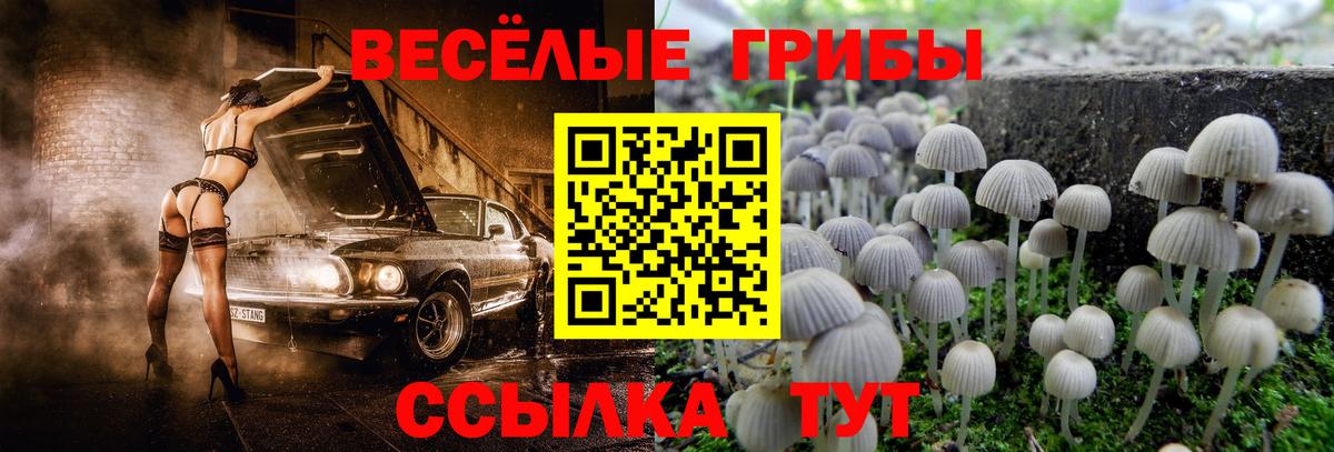 Галлюциногенные грибы мицелий Кубинка